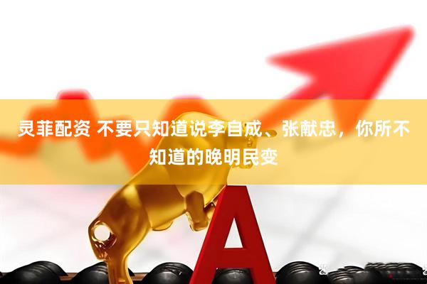 灵菲配资 不要只知道说李自成、张献忠，你所不知道的晚明民变