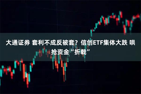大通证券 套利不成反被套？信创ETF集体大跌 哄抢资金“折戟”