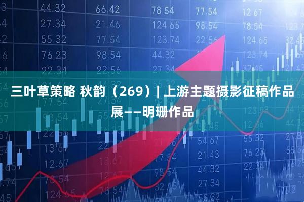 三叶草策略 秋韵（269）| 上游主题摄影征稿作品展——明珊作品