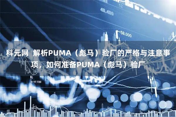 科元网  解析PUMA（彪马）验厂的严格与注意事项，如何准备PUMA（彪马）验厂