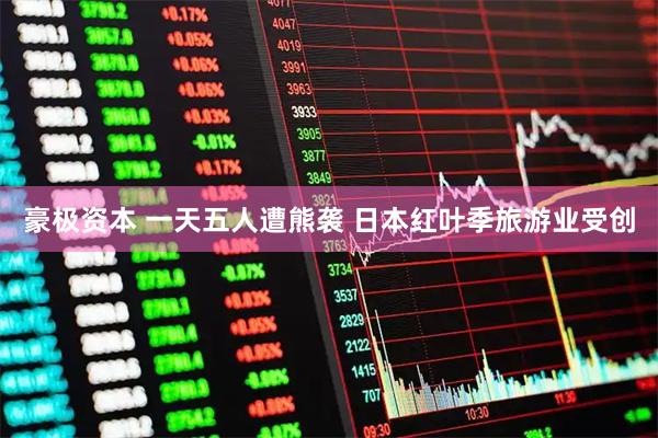 豪极资本 一天五人遭熊袭 日本红叶季旅游业受创