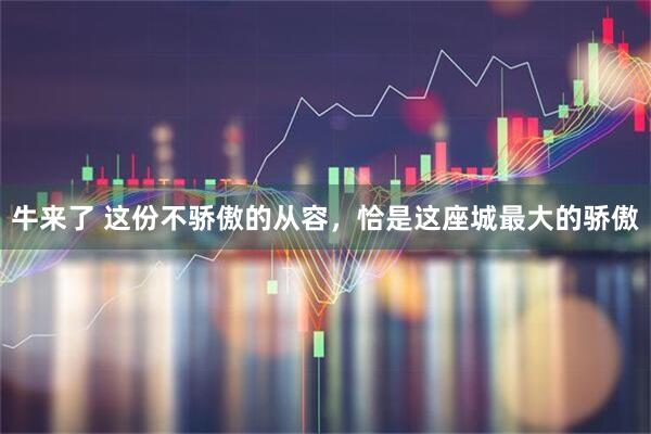 牛来了 这份不骄傲的从容，恰是这座城最大的骄傲
