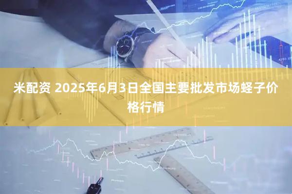 米配资 2025年6月3日全国主要批发市场蛏子价格行情