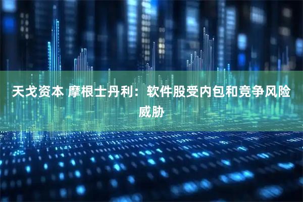 天戈资本 摩根士丹利：软件股受内包和竞争风险威胁