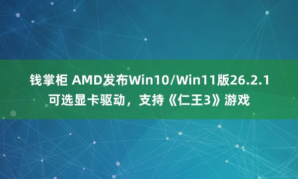 钱掌柜 AMD发布Win10/Win11版26.2.1可选显卡驱动，支持《仁王3》游戏