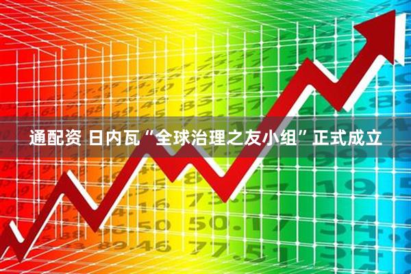 通配资 日内瓦“全球治理之友小组”正式成立