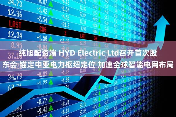 纯旭配资端 HYD Electric Ltd召开首次股东会 锚定中亚电力枢纽定位 加速全球智能电网布局