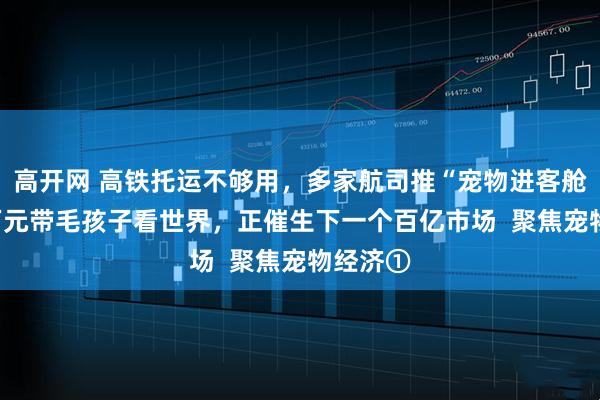 高开网 高铁托运不够用，多家航司推“宠物进客舱” 花2万元带毛孩子看世界，正催生下一个百亿市场  聚焦宠物经济①