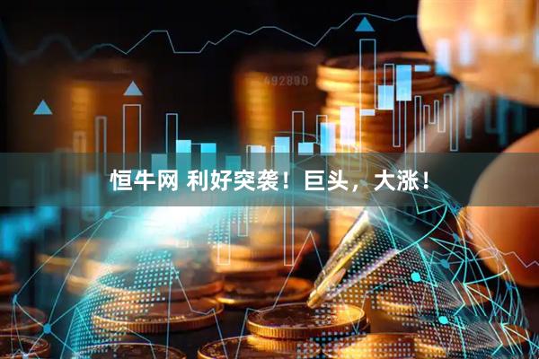 恒牛网 利好突袭！巨头，大涨！