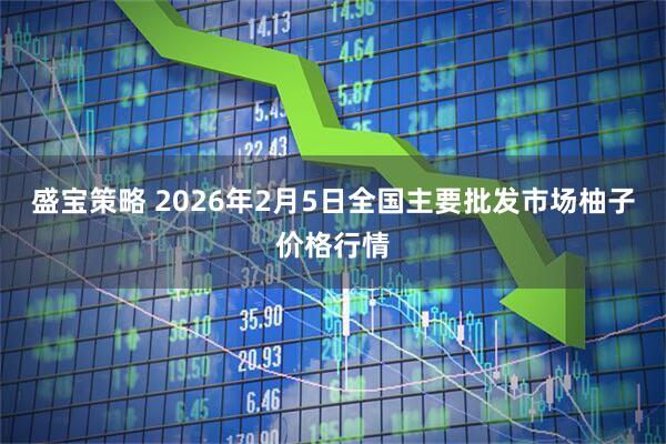 盛宝策略 2026年2月5日全国主要批发市场柚子价格行情
